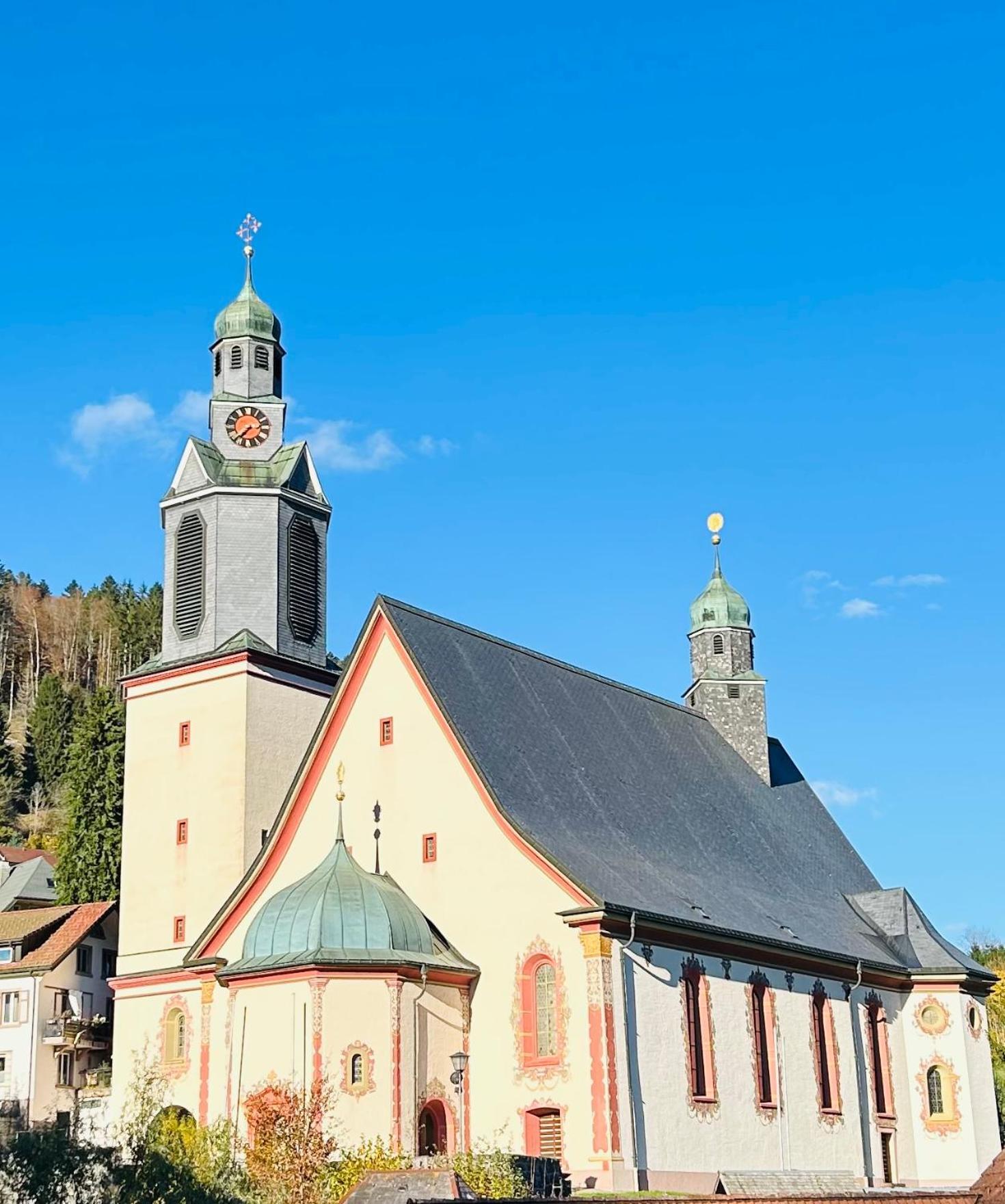 Ferienwohnung Panoramablick - Super Fuer Deine Familie Und Die Besten Aussicht In Ganz Todtmoos Extérieur photo