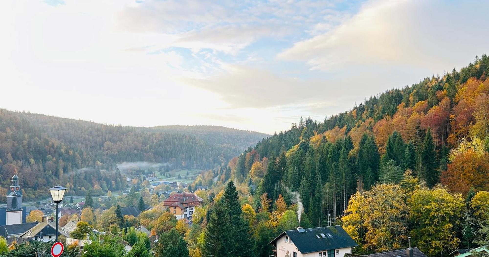 Ferienwohnung Panoramablick - Super Fuer Deine Familie Und Die Besten Aussicht In Ganz Todtmoos Extérieur photo