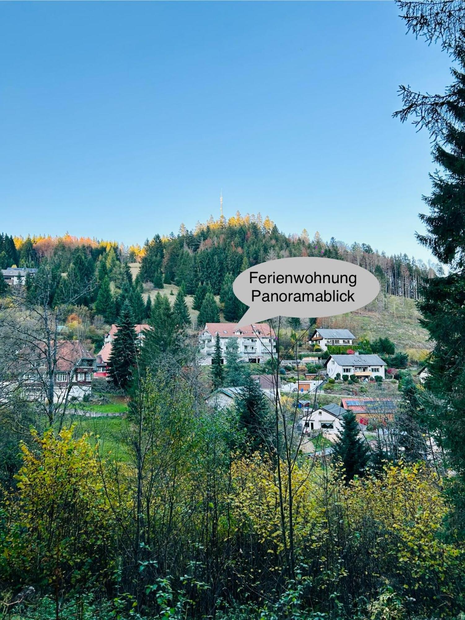 Ferienwohnung Panoramablick - Super Fuer Deine Familie Und Die Besten Aussicht In Ganz Todtmoos Extérieur photo