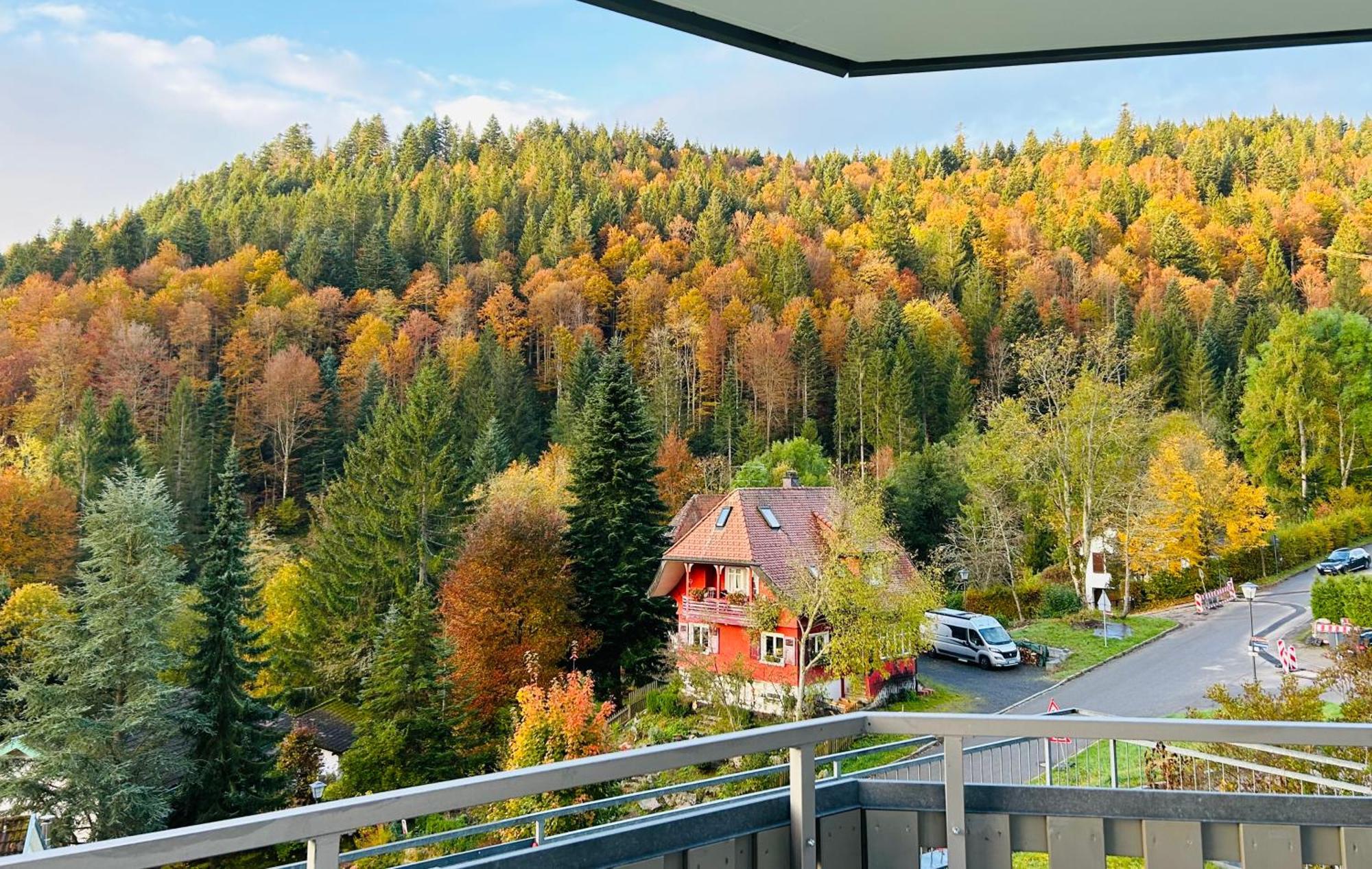 Ferienwohnung Panoramablick - Super Fuer Deine Familie Und Die Besten Aussicht In Ganz Todtmoos Extérieur photo
