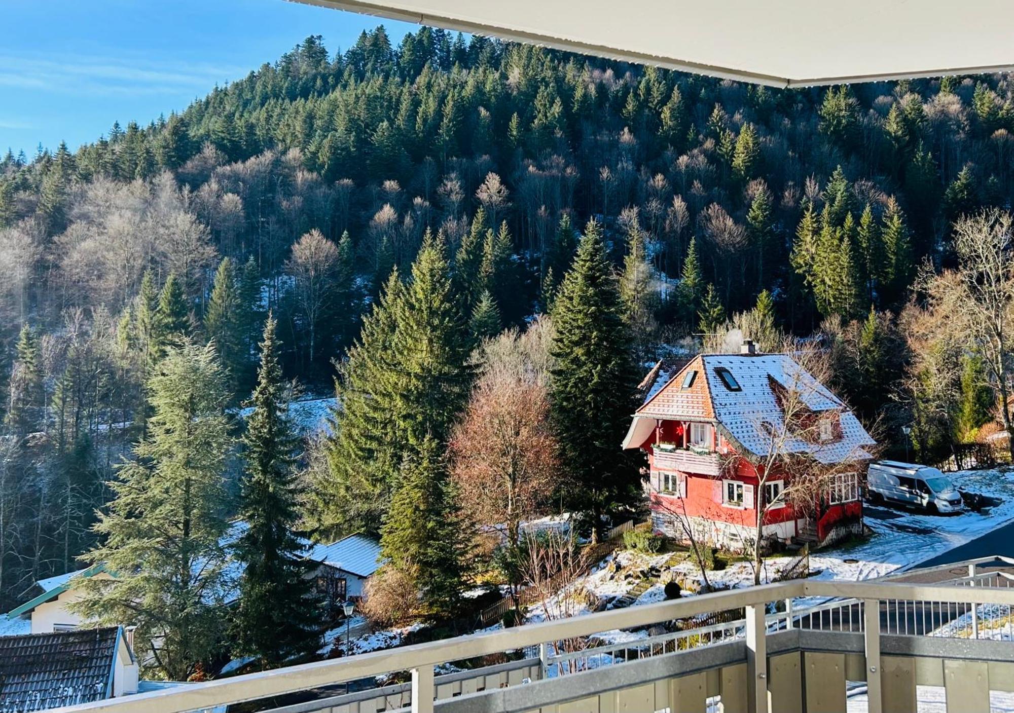 Ferienwohnung Panoramablick - Super Fuer Deine Familie Und Die Besten Aussicht In Ganz Todtmoos Extérieur photo